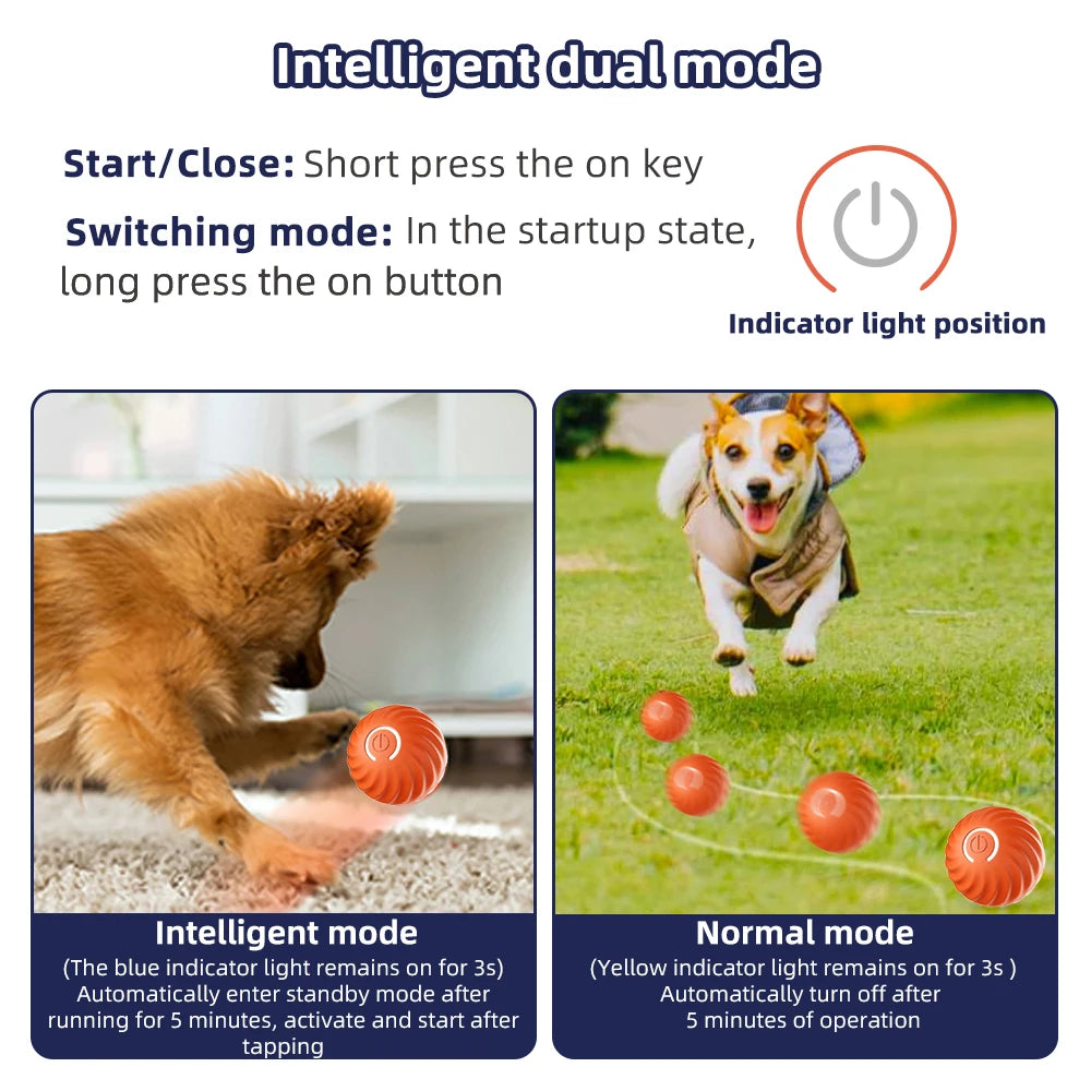 Interactive Smart Dog Toy Ball - Electronic Moving Ball & Shell with USB Charging for Puppies and Cats - Ideal Birthday Gift