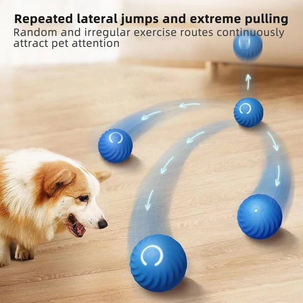 Interactive Smart Dog Toy Ball - Electronic Moving Ball & Shell with USB Charging for Puppies and Cats - Ideal Birthday Gift