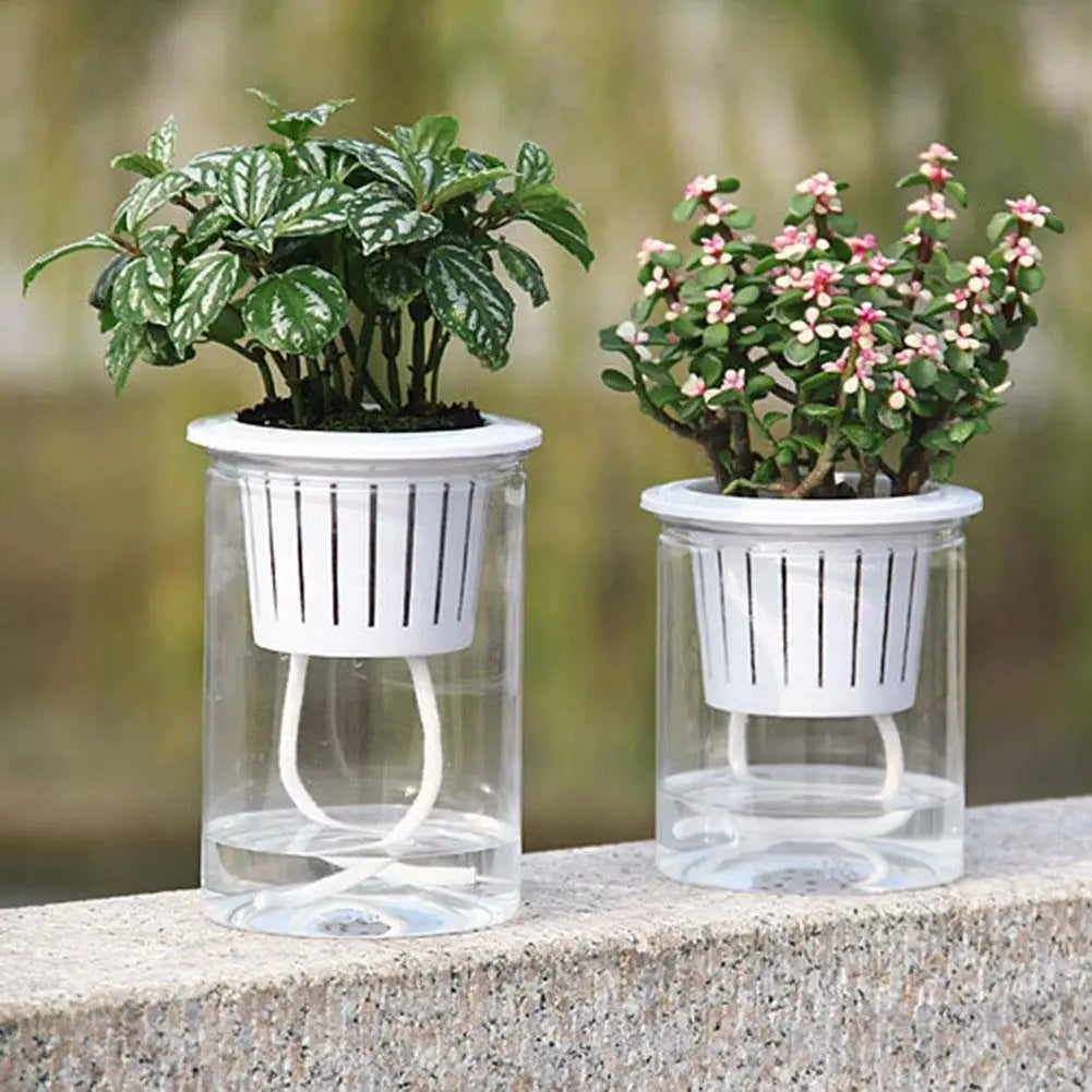 Hydroponic Flower Pot for Home and Office, Clear Automatic Water Absorption, Self-Watering Planter,Decorative Hydroponics System