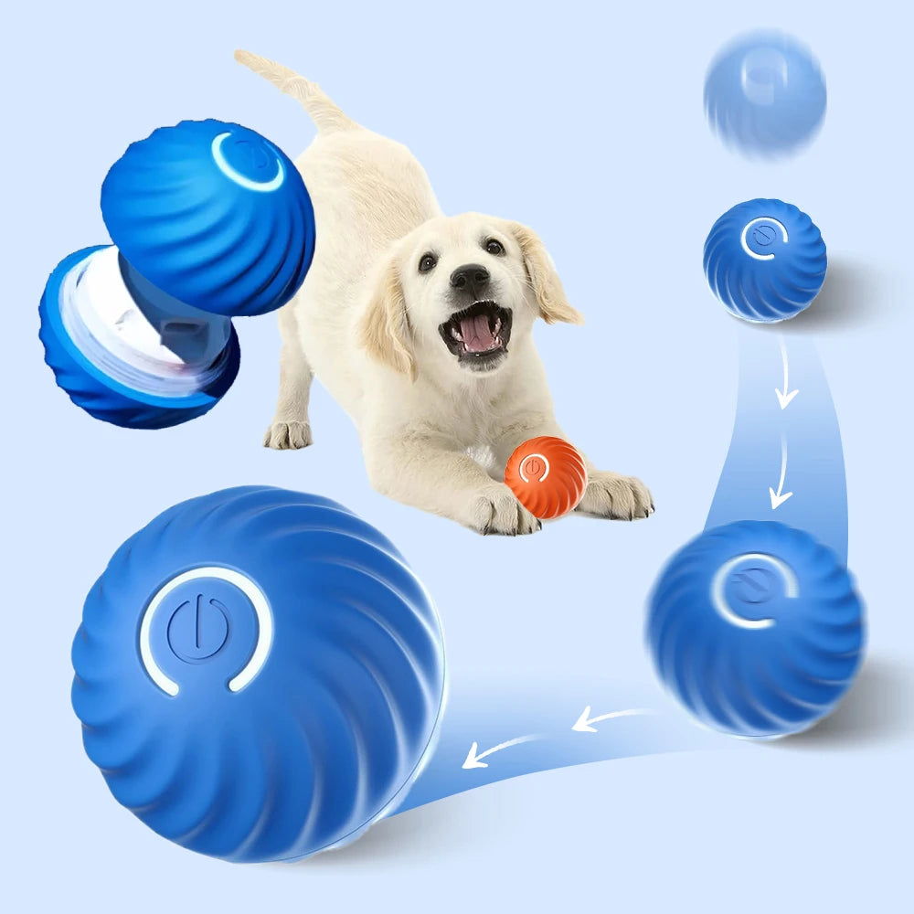 Interactive Smart Dog Toy Ball - Electronic Moving Ball & Shell with USB Charging for Puppies and Cats - Ideal Birthday Gift